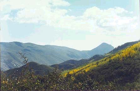 Cerros