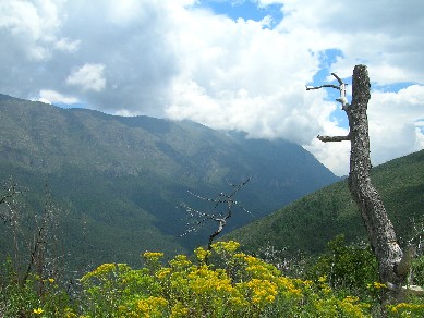 Sierra El Coahuil�n