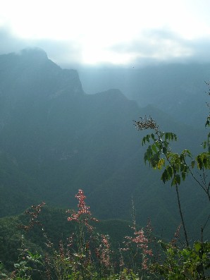 Barranco