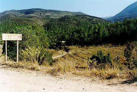 El Zorrillo