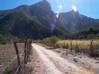 El camino dorado