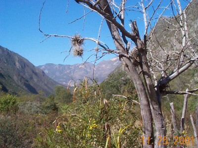 Paisaje