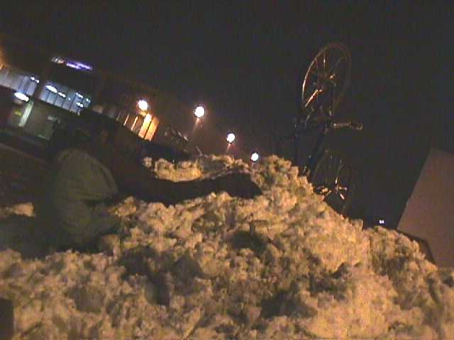 /user/snowdiver.jpg