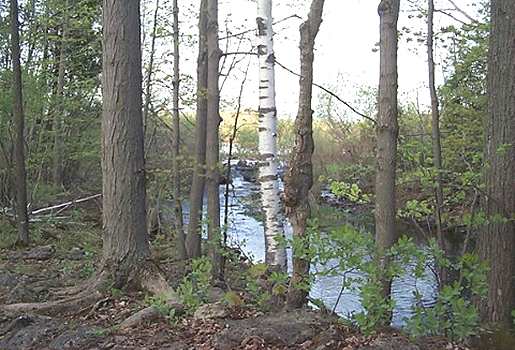 Beaver Dam