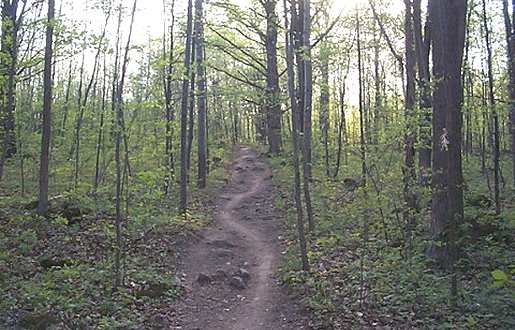 Beaver Dam Trail