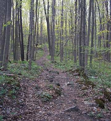 Beaver Dam Trail Spur