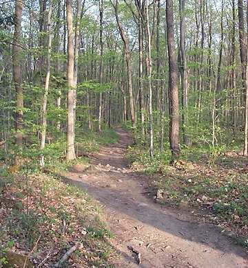 Beaver Dam Trail