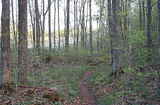 Beaver Dam Trail Spur