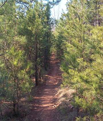 Issaquehenna Lake Loop