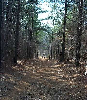 Willow Creek Trail