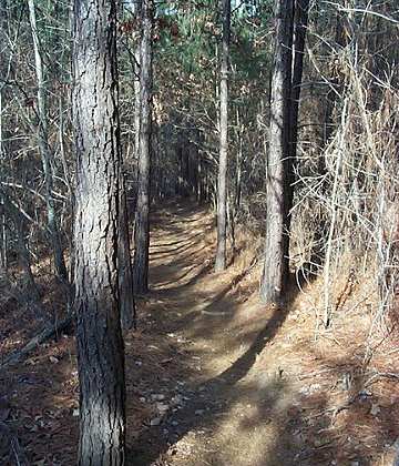 Connector Trail