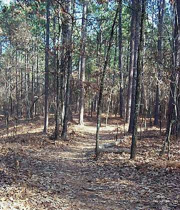 Connector Trail