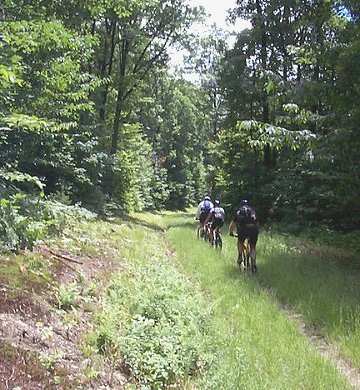Race Loop Trail