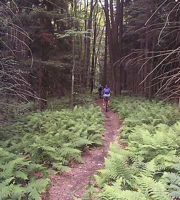 Finger Lakes Trail