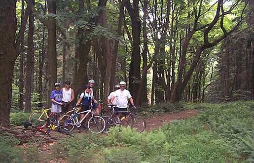 Our MTB Group