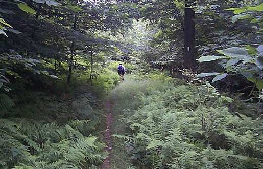 McCarthy Hill Trail