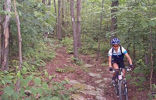 Mutton Hollow Trail