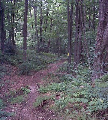 XCountry Ski Trail