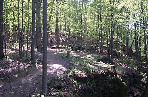 Niagara Escarpment