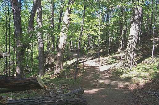 Bruce Trail Spur
