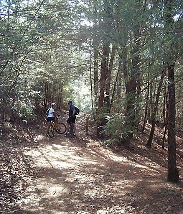 Explorer Trail