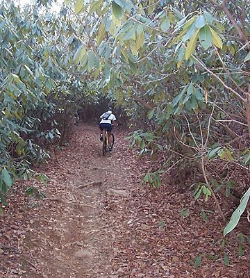 Explorer Trail 2