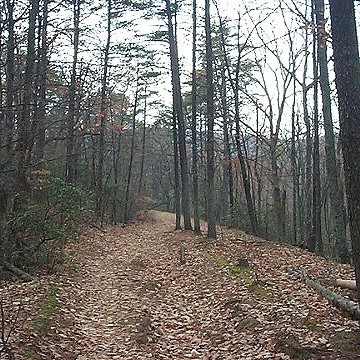 Expresso Trail