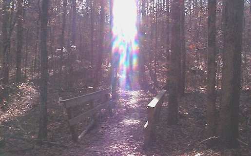 Firebreak Trail East Loop