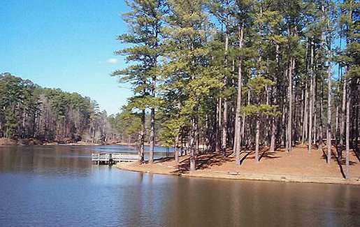 Lick Fork Lake Lake