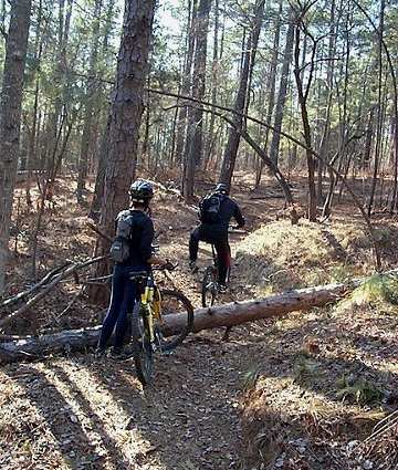Horn Creek Trail