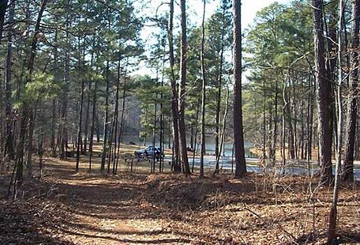 Horn Creek Loop