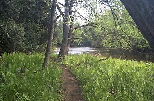 Speed River