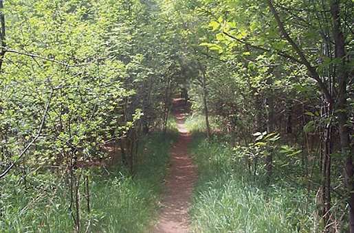 Guelph Lake Trail  3
