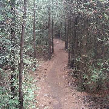 Guelph Lake Trail #2