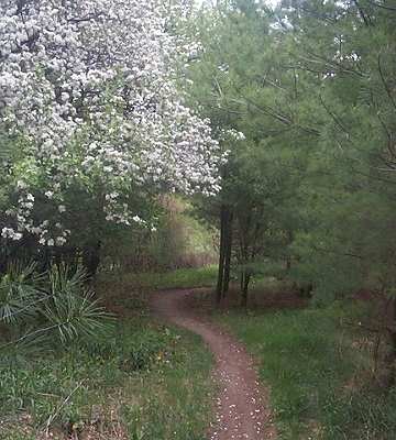 Guelph Lake Trail 6