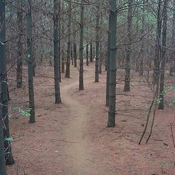 Guelph Lake Trail 4