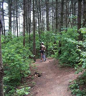 Guelph Lake Trail 8