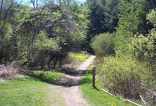 Headwaters Trail
