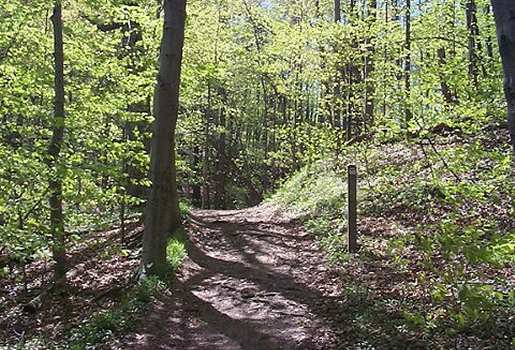 Headwaters Trail