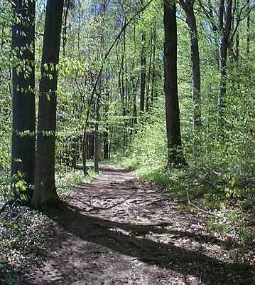 Headwaters Trail