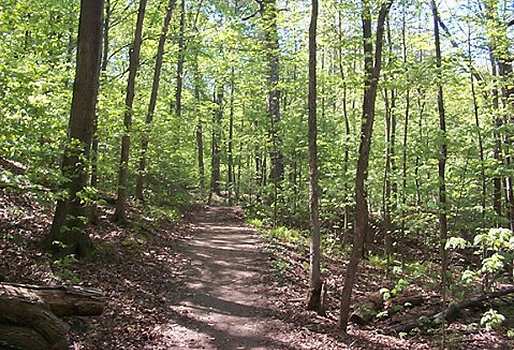 Heritage Trail