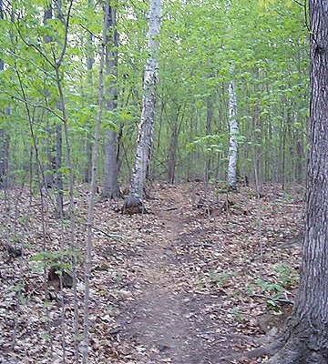 Hilton Falls Spur