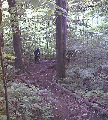 Hawthorn Run