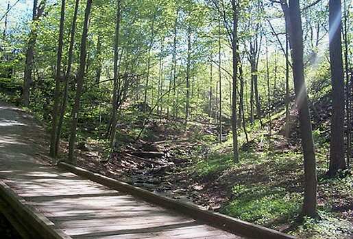 Main Loop Trail