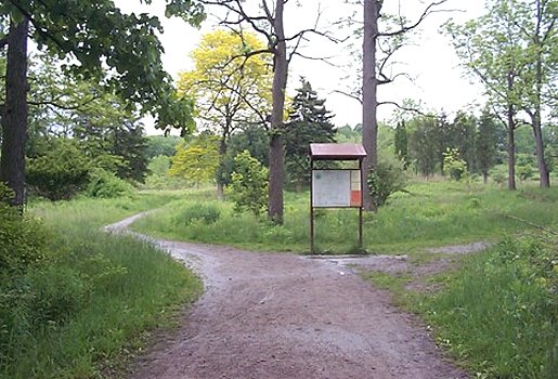 Crossroads