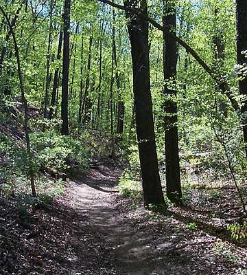 Ski Loop #1