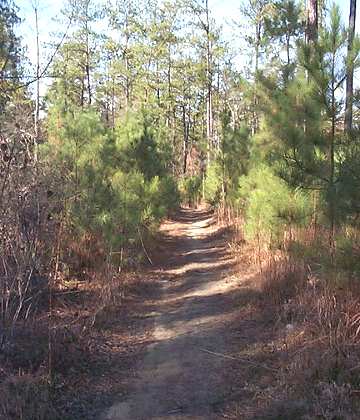 Stewardship Trail