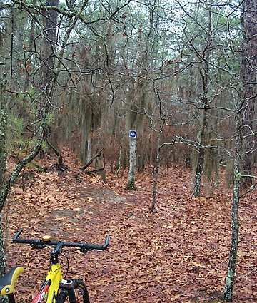 Killer 3 Trail Loop