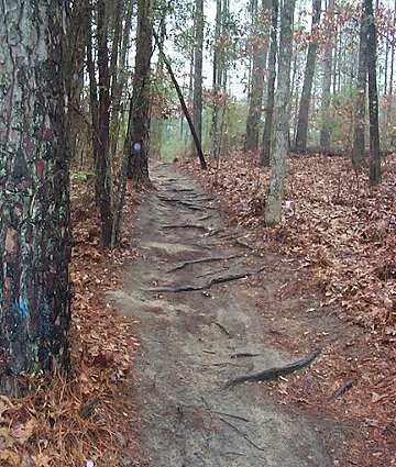 Killer 3 Trail Loop