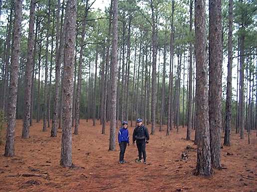 Killer 3 Trail Loop